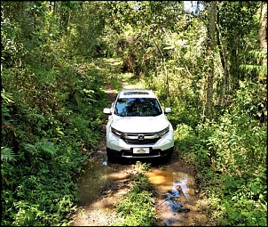4x4 Brasil Portal Off Road F 243 Rum 4x4 Reviews