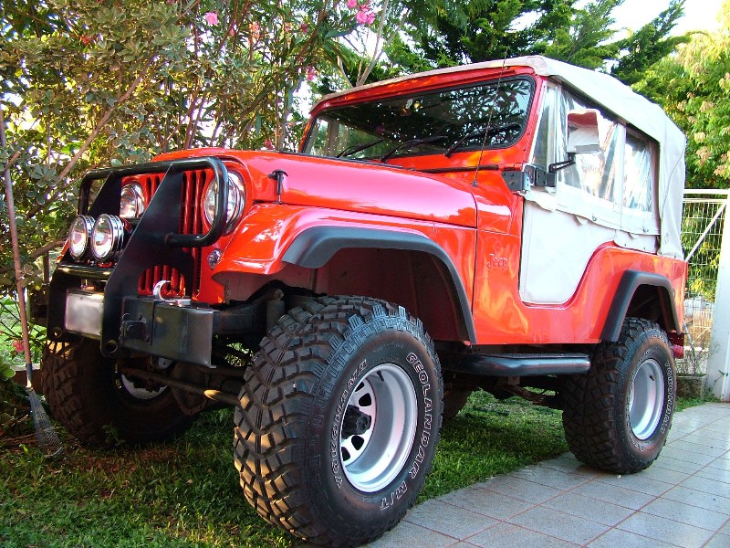 Jeep willys a venda em santa maria rs #5