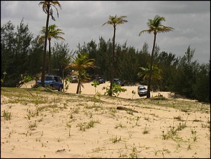 IMG 7754