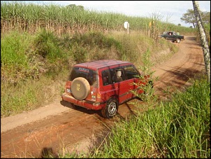 Estrado