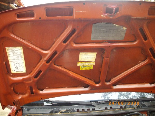 FOTO6
