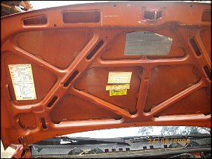 FOTO6