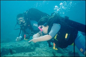 Diving - Mergulho na laje de Santos