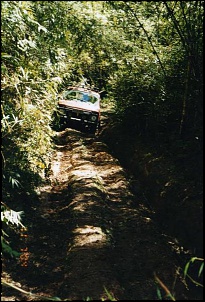 pedreira2009