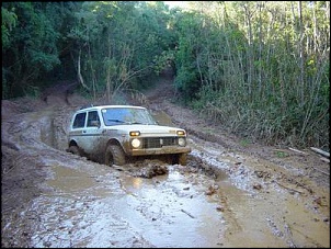 Niva AP1.8.