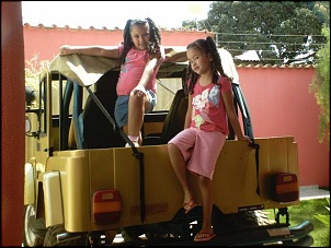 MINHAS GATAS