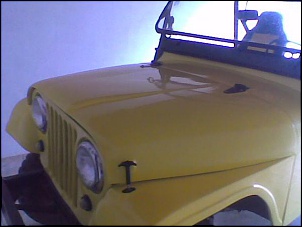 Fotinhas do Jeep Ford (?!) do meu velho. Tou dando apoio moral e com informaes, j que o financeiro no rola. rs =P