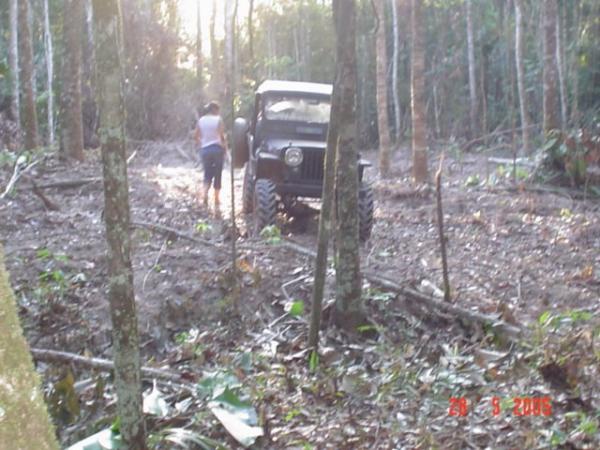 nois na nossa ex fazenda la no canquinha o pedro e o pessoal deve lembrar