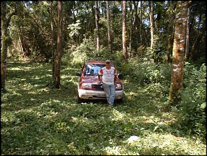 Parte dos 3 km de estrada dentro do sitio