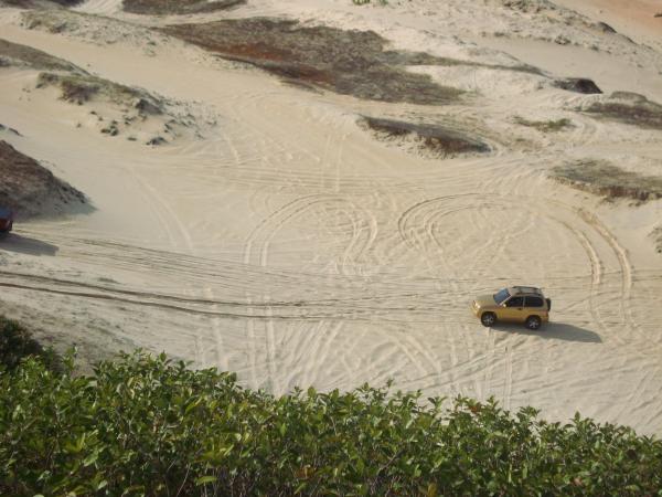 Fotos Passeio 17 01 09 005