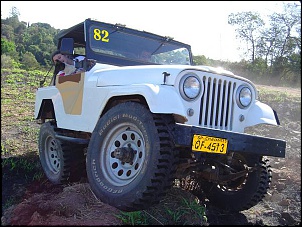 cj5 82 branco-lineu