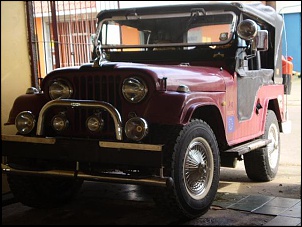 jeep ford 1974 DomQuixote