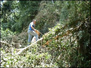 Abrindo caminho por causa das chuvas, arvores cairam..