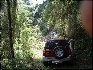 Parado por causa de arvore caida com a chuva