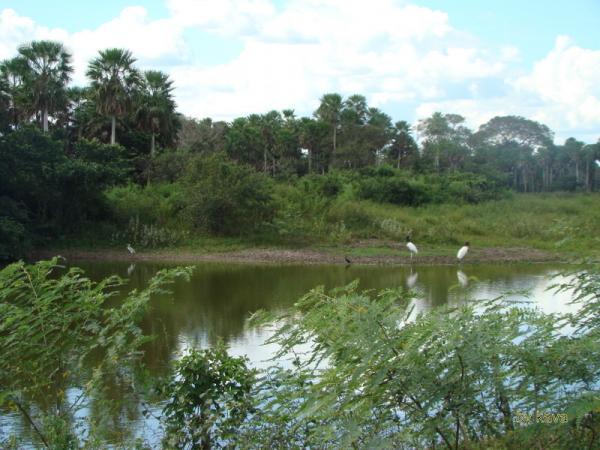 DSC08360