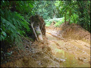 Estado da trilha de Castelhanos na data de 02/05/2009.