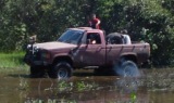 Pantanal
