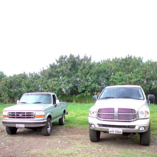 Lado  lado, F1000 4x4 bruta, e dodge