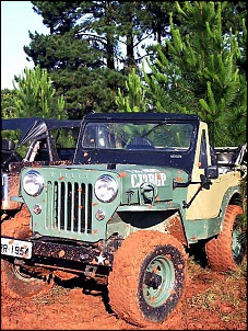 WILLYS 54
