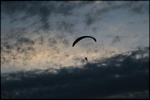 IMG 4333