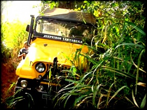 Imagens Jeep