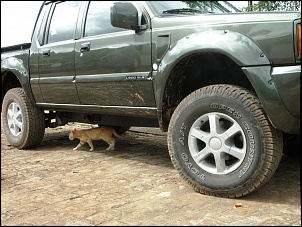 O gato adorou o "aquecedor" a diesel...