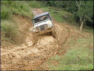 willys