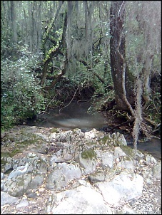 Campo, lidas e alguma aventura.