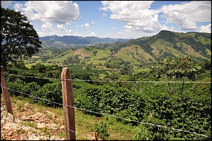 Albertina - MG