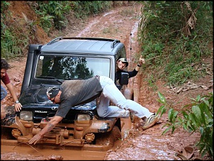 Imagem 233
