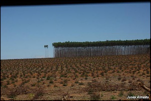 IMG 9587