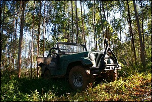 RAID Fenajeep 2010