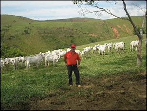 CONTANDO OS BICHINHOS BRANCOS !