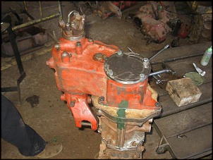 IMG 0894