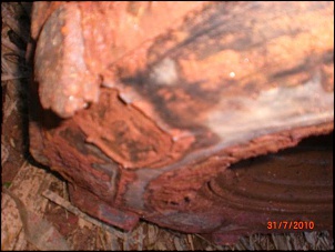 CIMG0095