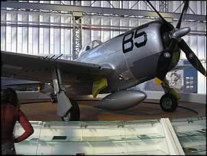 Se no me engano, P-47 Thunderbolt. 
tive o prazer de conhecer um senhor que esteve na guerra comandando um desses.