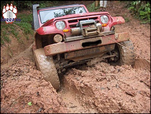 Troller Walmir - Garra4x4