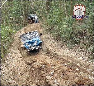 Javan - Jeep Cj5 - Garra4x4