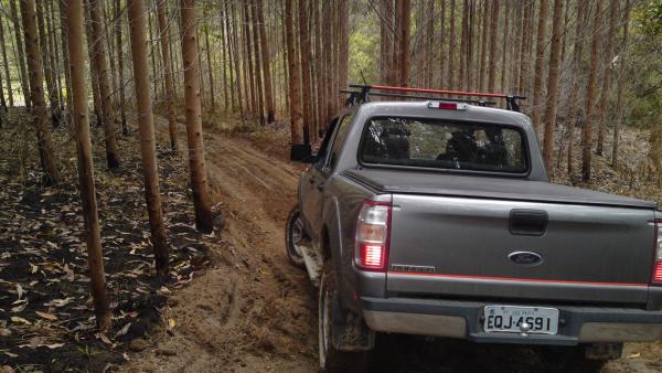 No campo