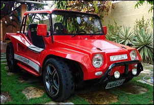 BUGGY FYBER STAR