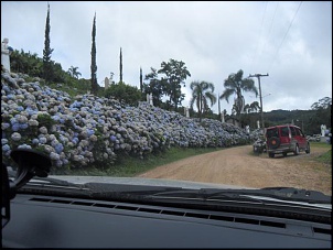 SDC12243