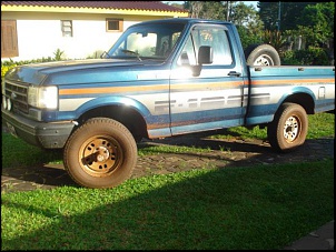 F-1000 4x4 Super D229 MWM