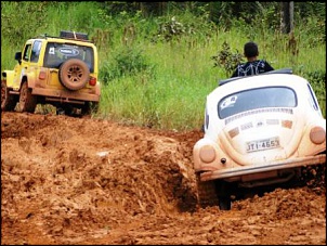 Troller - Sales Almeida / Fusca 4x4 - Wans