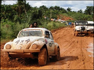Fusca 4x4 - Wans