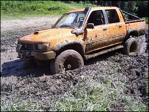 trilha do ford