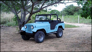 Willys 66