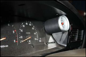 IMG 0919