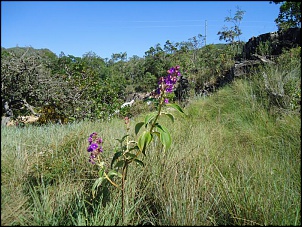 DSC02406