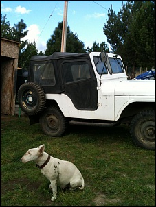 El Poderoso y la MAYA(Bull Terrier) 
PATAGONIA CHILENA
