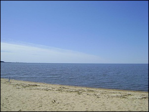 DSC06029